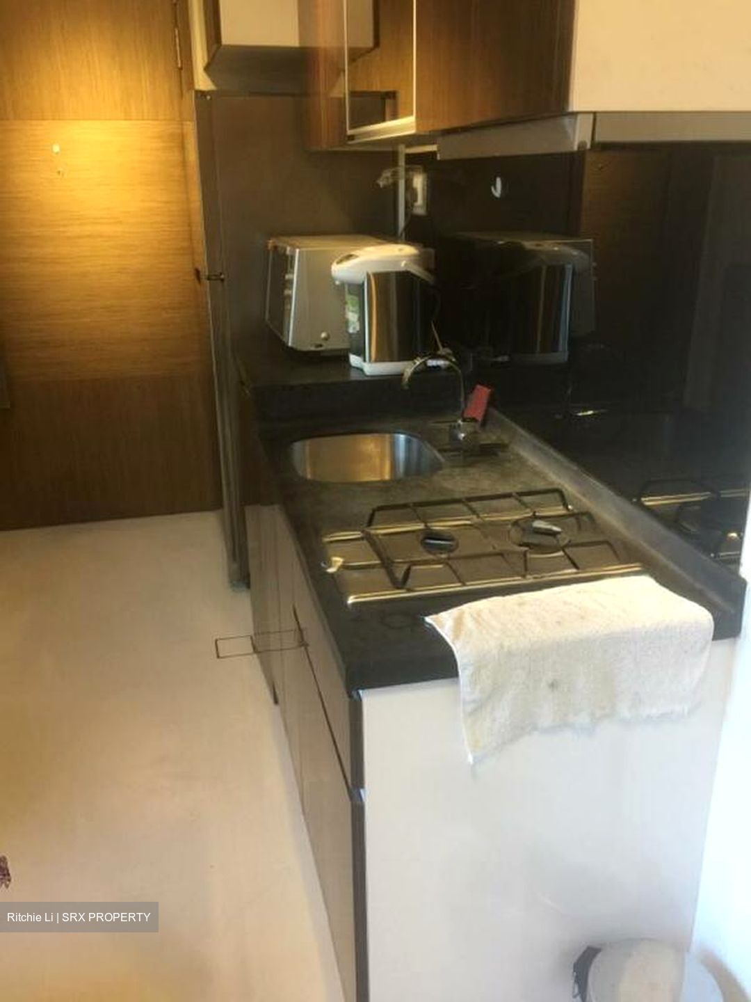 Loft @ Nathan (D10), Apartment #509648491